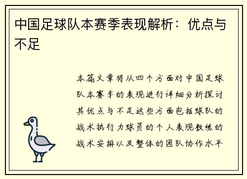 中国足球队本赛季表现解析：优点与不足
