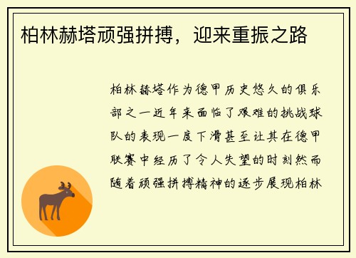 柏林赫塔顽强拼搏，迎来重振之路