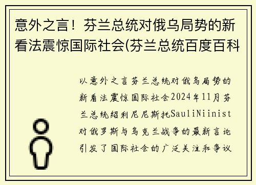 意外之言！芬兰总统对俄乌局势的新看法震惊国际社会(芬兰总统百度百科)
