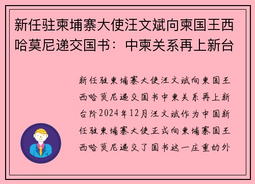 新任驻柬埔寨大使汪文斌向柬国王西哈莫尼递交国书：中柬关系再上新台阶