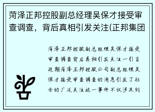 菏泽正邦控股副总经理吴保才接受审查调查，背后真相引发关注(正邦集团总经理吴志军)