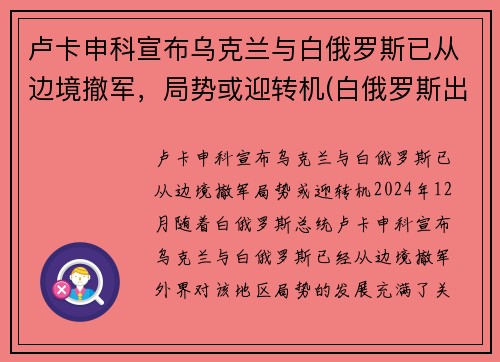 卢卡申科宣布乌克兰与白俄罗斯已从边境撤军，局势或迎转机(白俄罗斯出兵乌克兰)